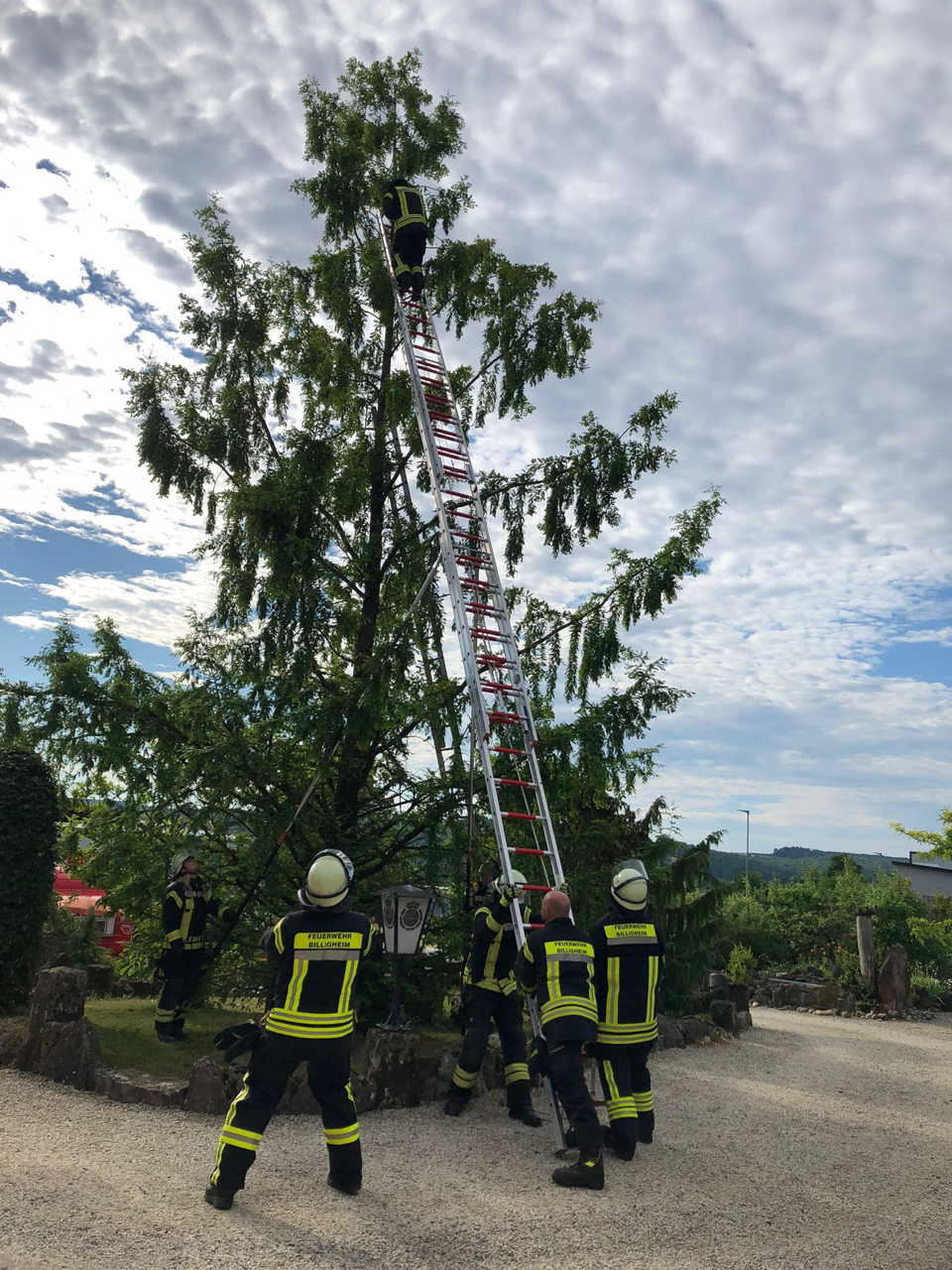 Tierrettung in Billigheim